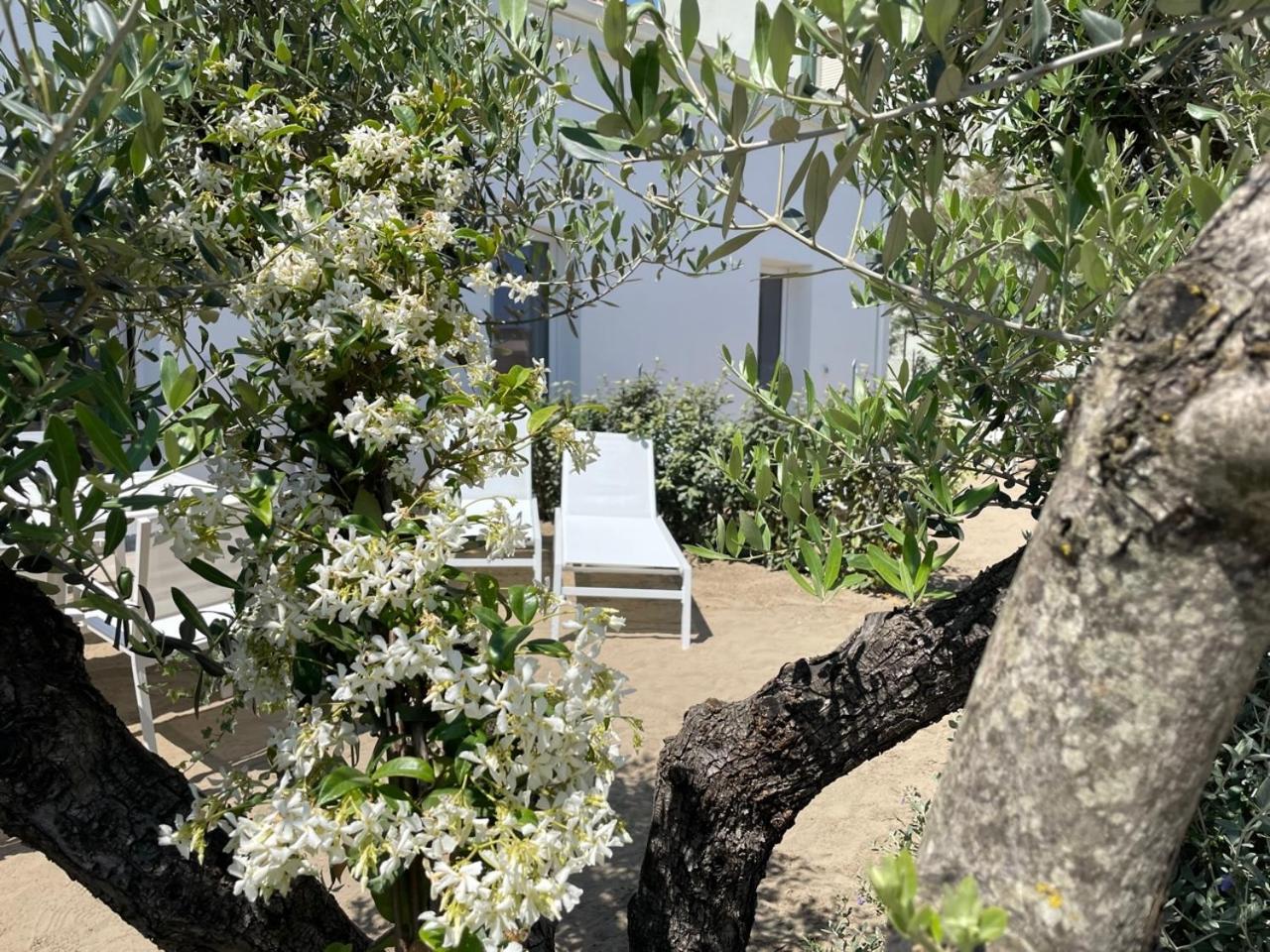Villa Le Agavi Luxory Beach Surfhouse Белариа-Игеа Марина Екстериор снимка